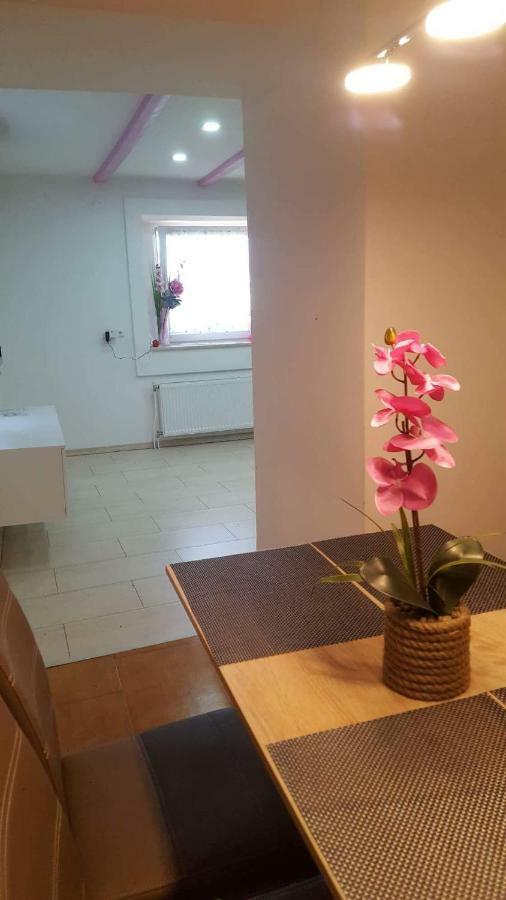 Apartment Goran & Nela Umag Exterior photo
